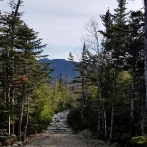 Meet your Posher, Teresa